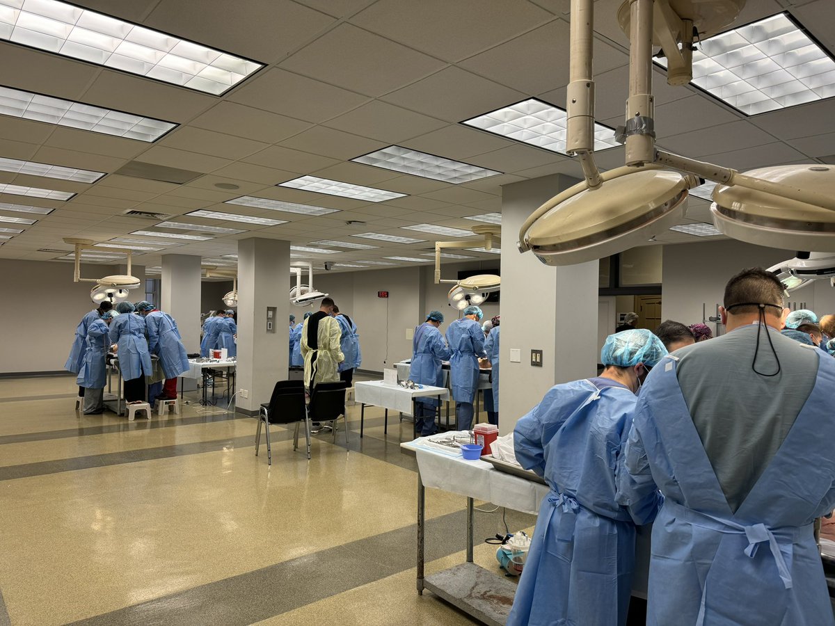 mattsmeds's tweet photo. Working on abdominal exposures at #APEX24 https://t.co/xFRVV5IZ0k