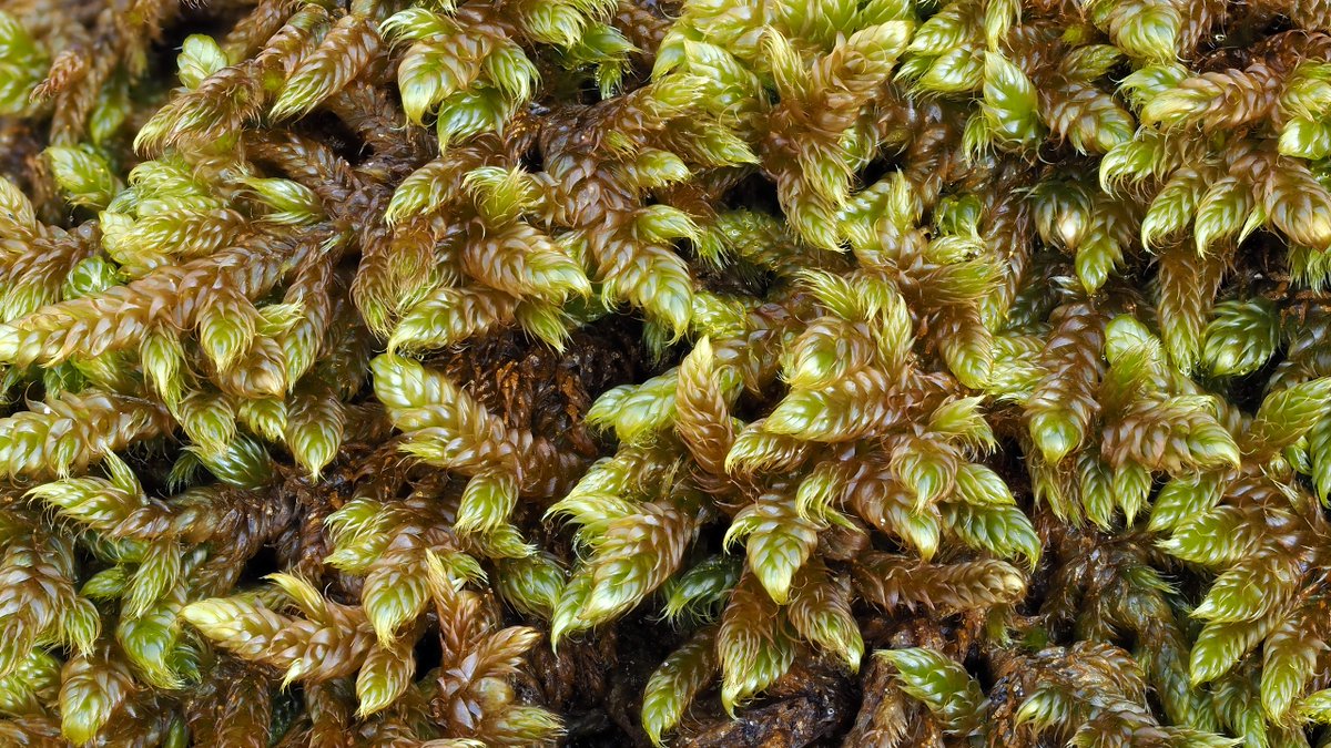 you find me now at bluesky <a href="/milueth/">noemi duran</a>.bsky.social