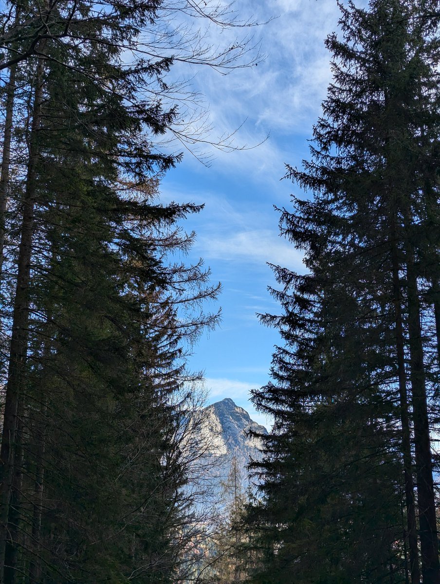 chaotAg's tweet photo. #ChaotaufWandertour
Ein paar Eindrücke von der Tour im 'Schatten' des Watzmann. https://t.co/xiupelHJhP