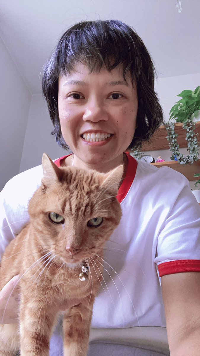 YuiInLundSweden's tweet photo. รูปคู่ๆ หาดูยาก 😸 ปกติแมวไม่ค่อยให้ความร่วมมือ 🤣 https://t.co/CLfFshPoa1