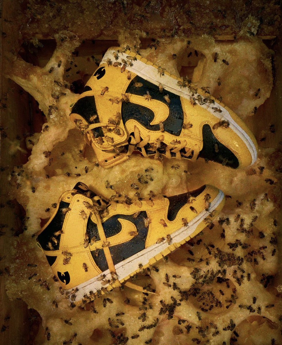 SOLELINKS tweet media