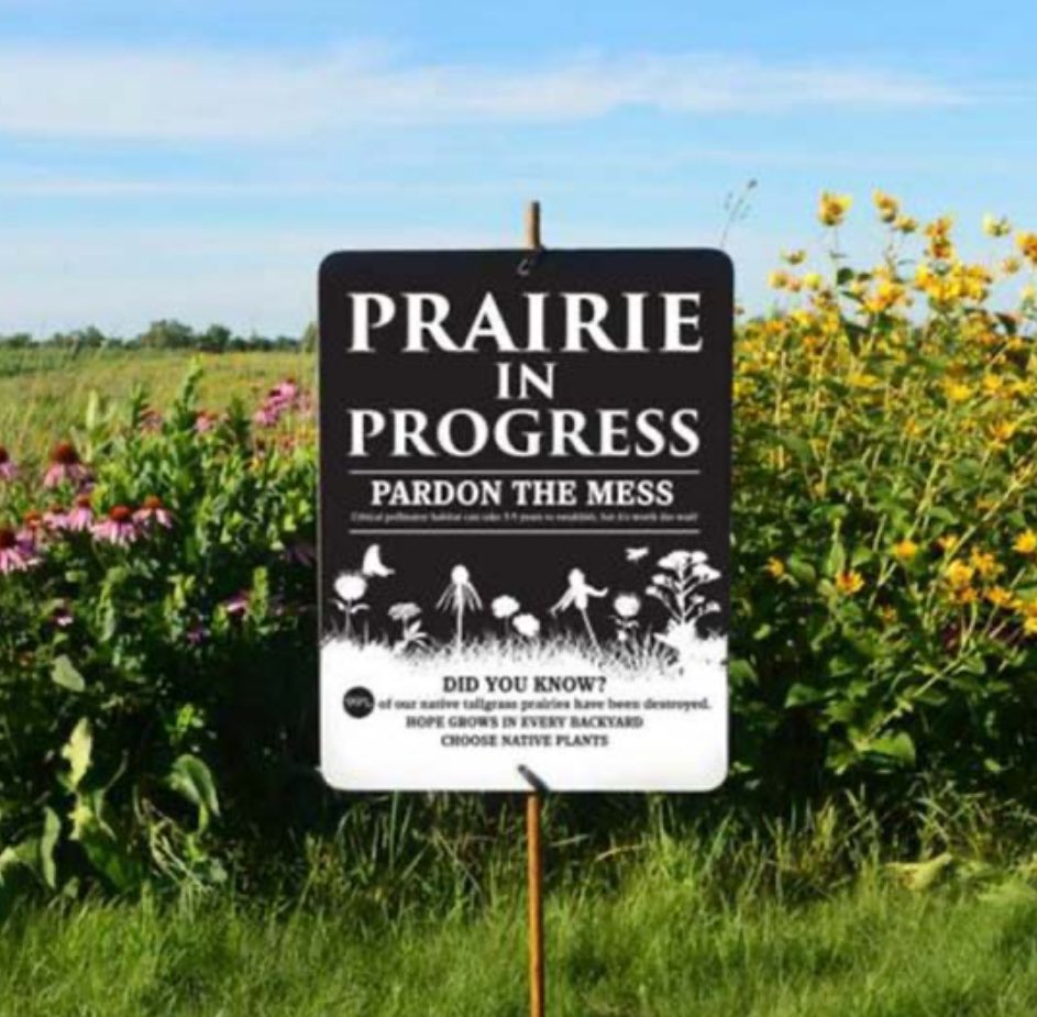 🌷 Here’s some good news 🗞️ for the week: 
toyotaoflavista.com/toyota-native-…