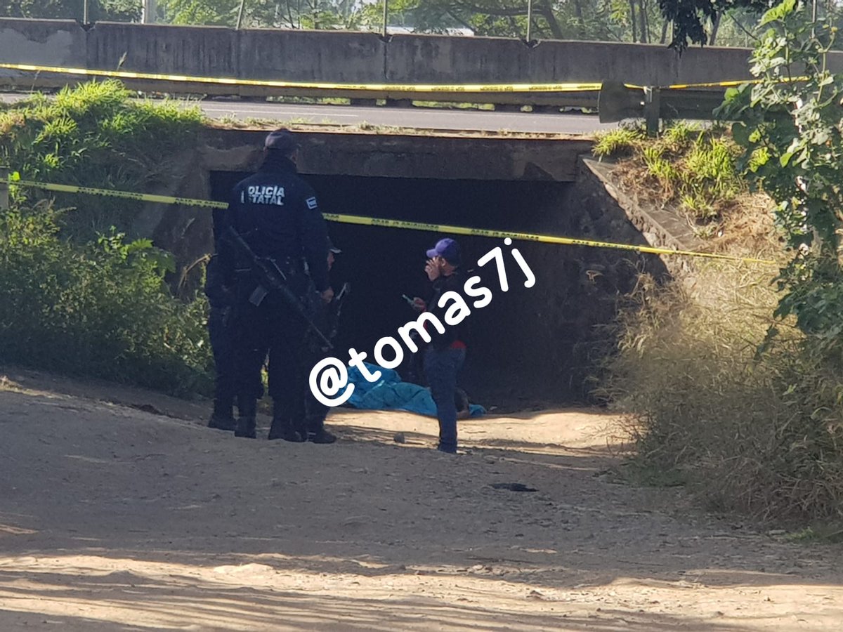 Tomas7J's tweet photo. #Embolsado
Dentro de una bolsa de color amarilla y azul fue localizado el cuerpo sin vida de un hombre de 40 años de edad en la calle Libertad de Santiaguito, San Lorenzo Cacaotepec, Etla.
Personal @SSPC_GobOax @PolVial_GobOax @FISCALIA_GobOax realiza indagatorias https://t.co/1XvQ4DGR1k