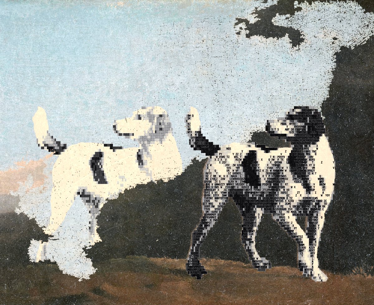 enigmatriz tweet media