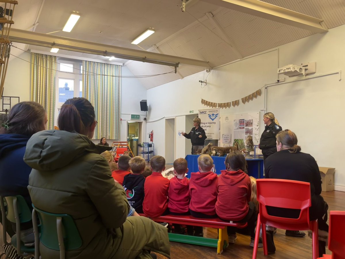 PC CJ Newsome 🦡🦊 tweet media