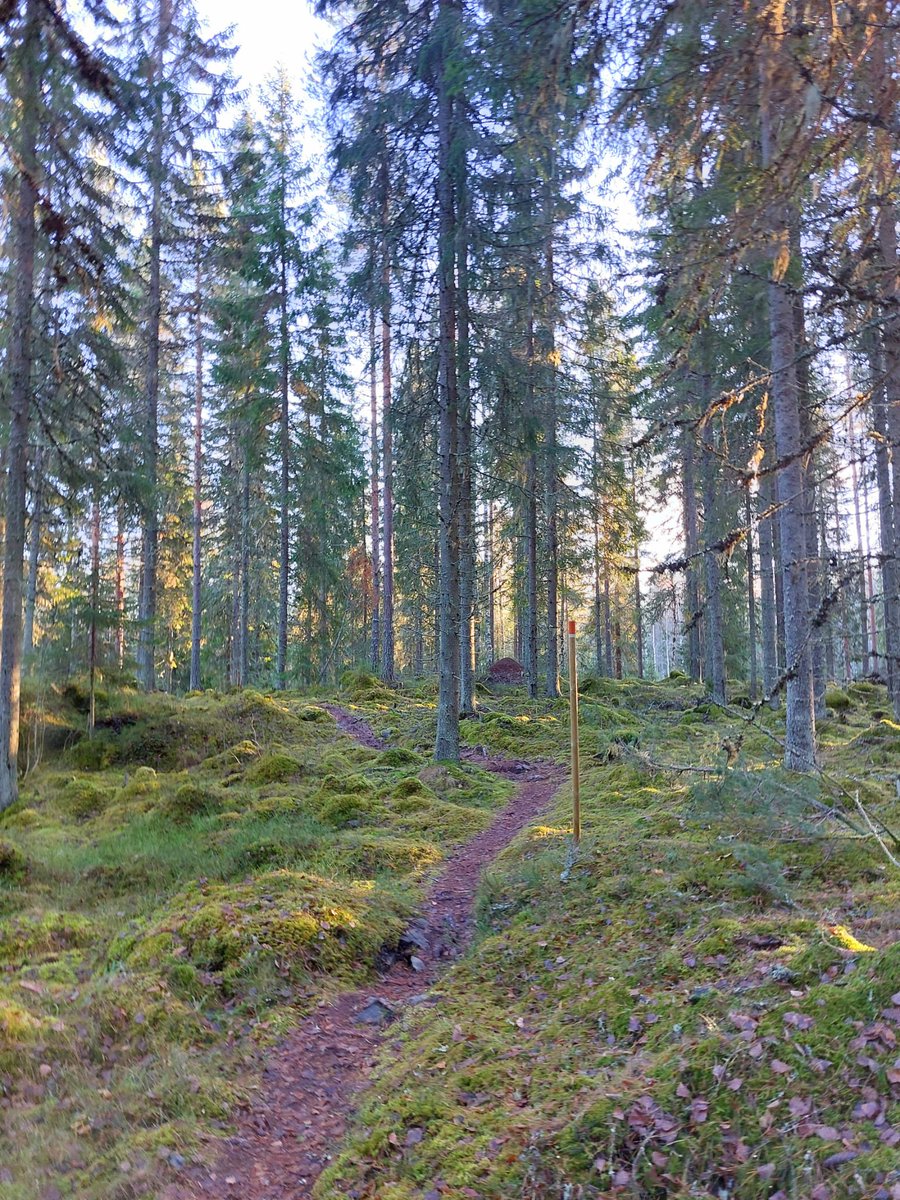 Jenni Koponen tweet media