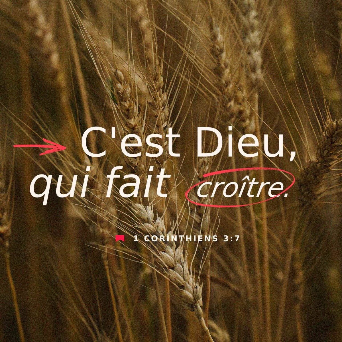“En sorte que ce n’est pas celui qui plante qui est quelque chose, ni celui qui arrose, mais Dieu qui fait croître.”
1 Corinthiens 3:7
