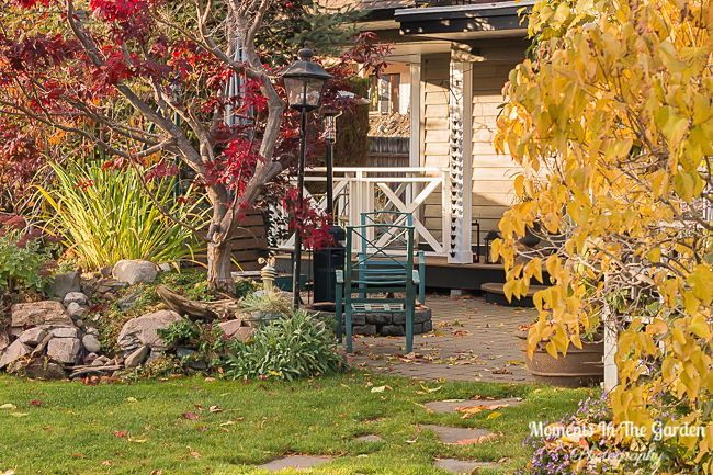 MomentsintheG's tweet photo. A lot of the leaves have fallen now but there are still ones clinging on. #novembergarden #fallenleaves #changingleaves #changingseasons #momentsinthegardenphotography #mygarden #mygardentoday https://t.co/dhU5W7G3mC