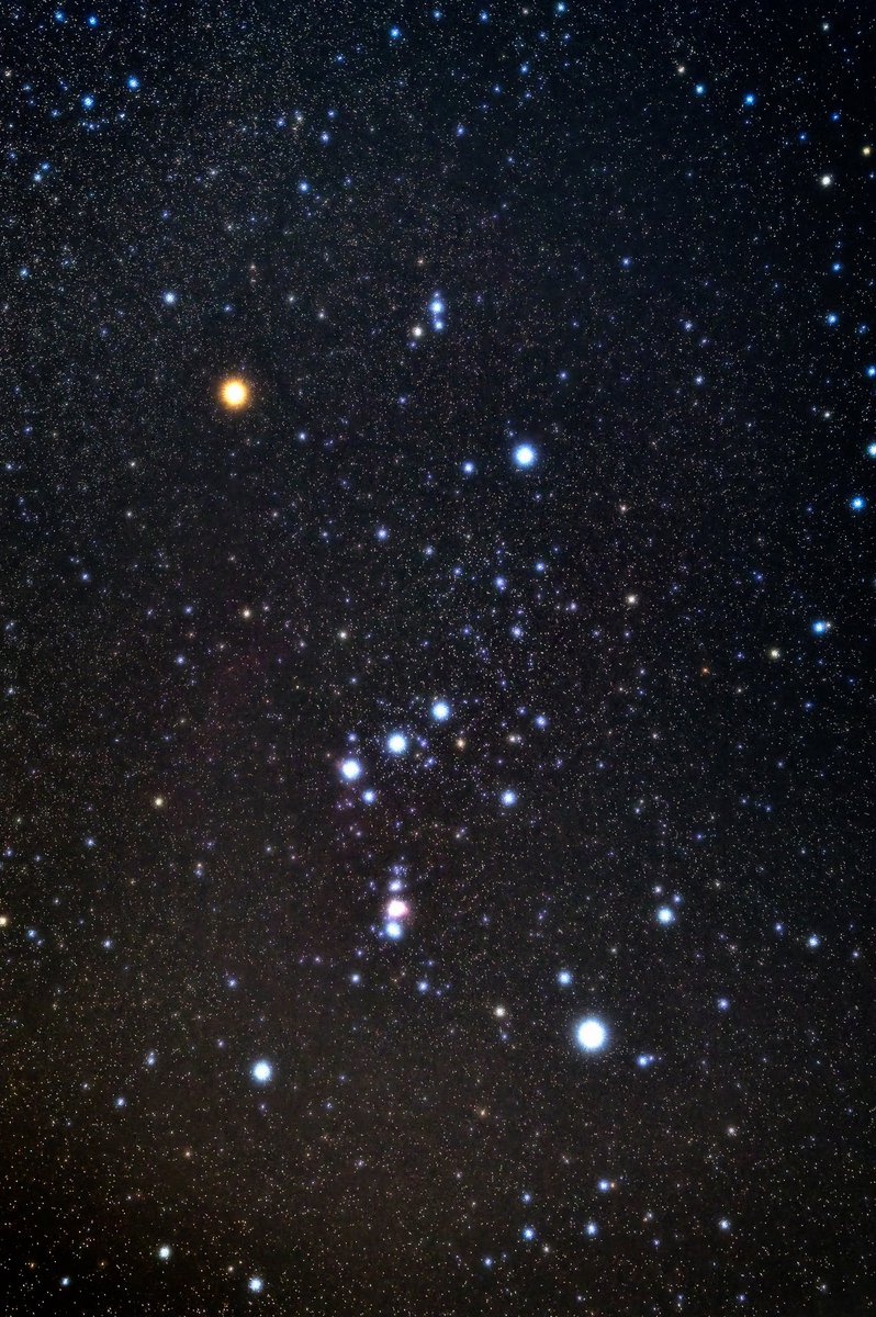 zeiss_carl's tweet photo. Today‘s Orion November9 , 2024 
今宵のオリオン、星屑に埋もれる
#orion #pentaxkp #astrotracer https://t.co/pYbvnTS5Ug