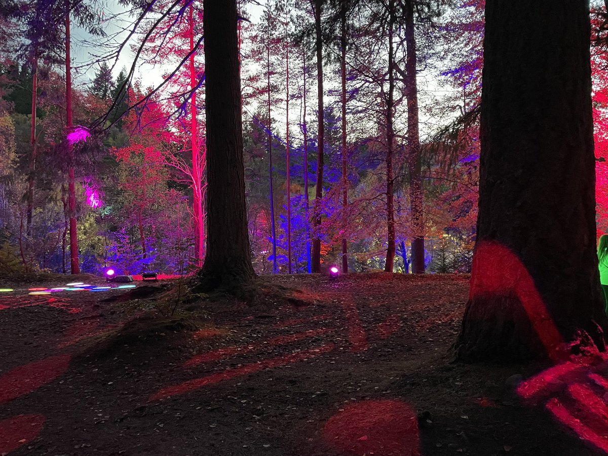 Isla Keys💙🏴 🇺🇦 tweet media