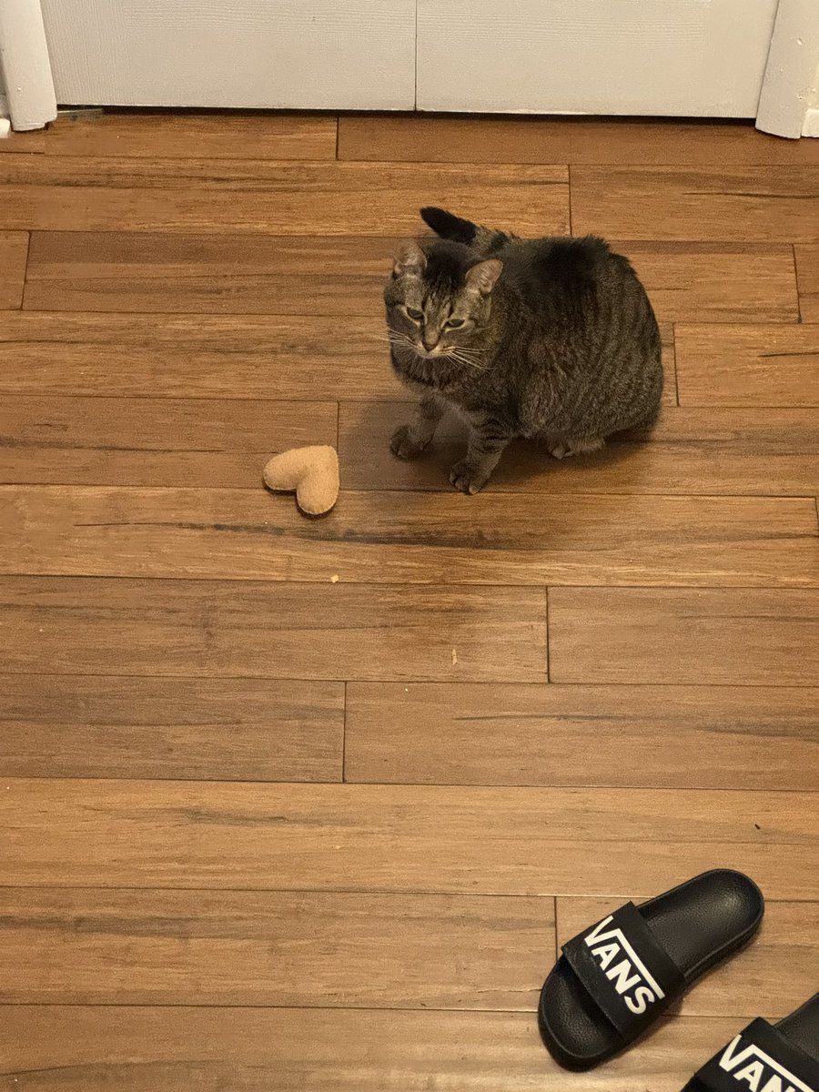 Max Buttcheeks tweet media