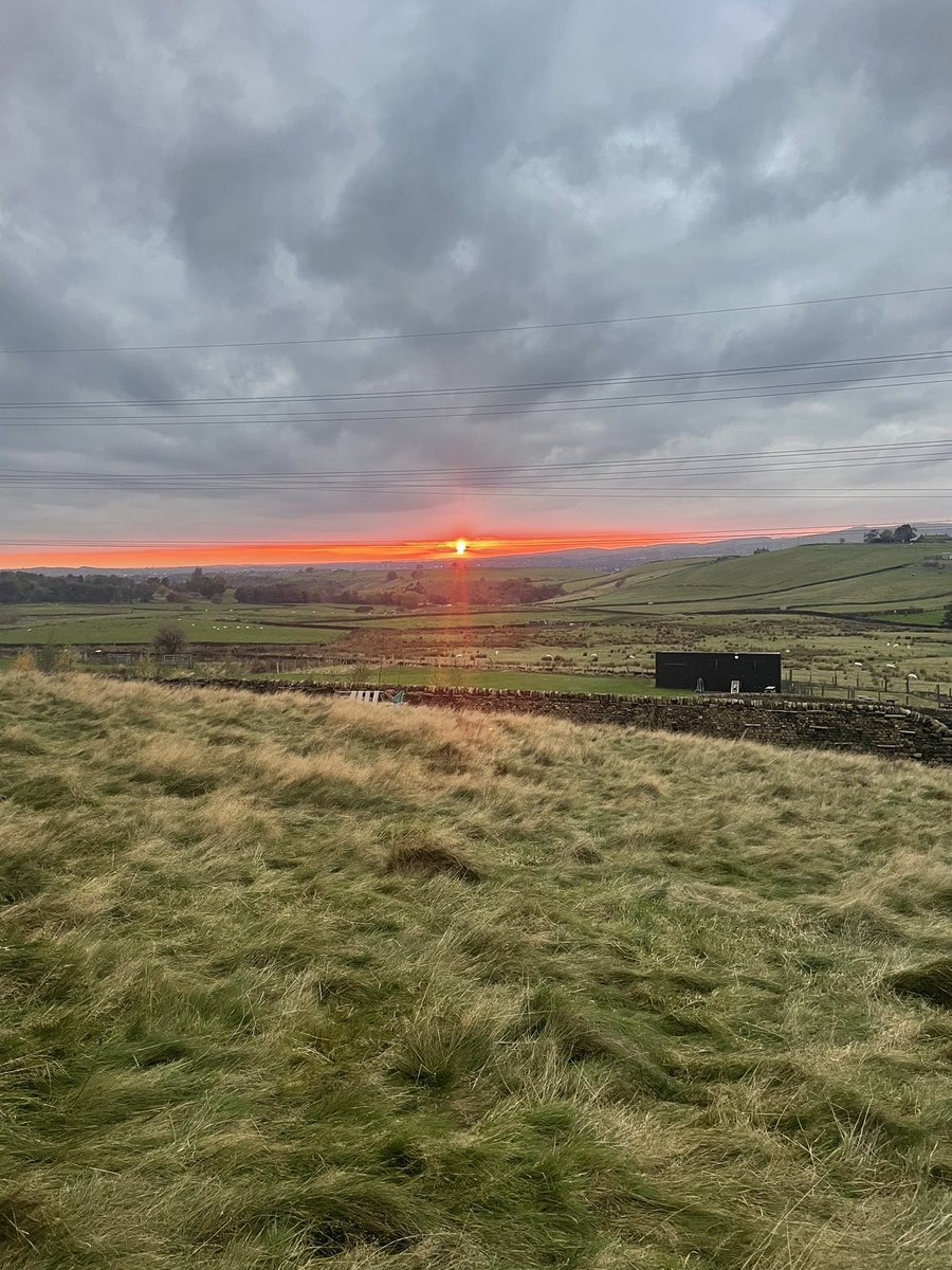 Calm Pond Series Richard Clarke tweet media