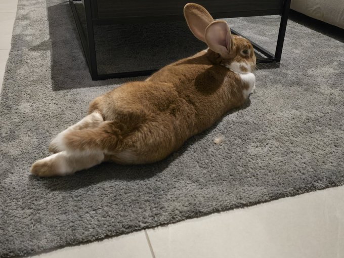 Watch Ruby's leaked NSFW photo on TwXstars