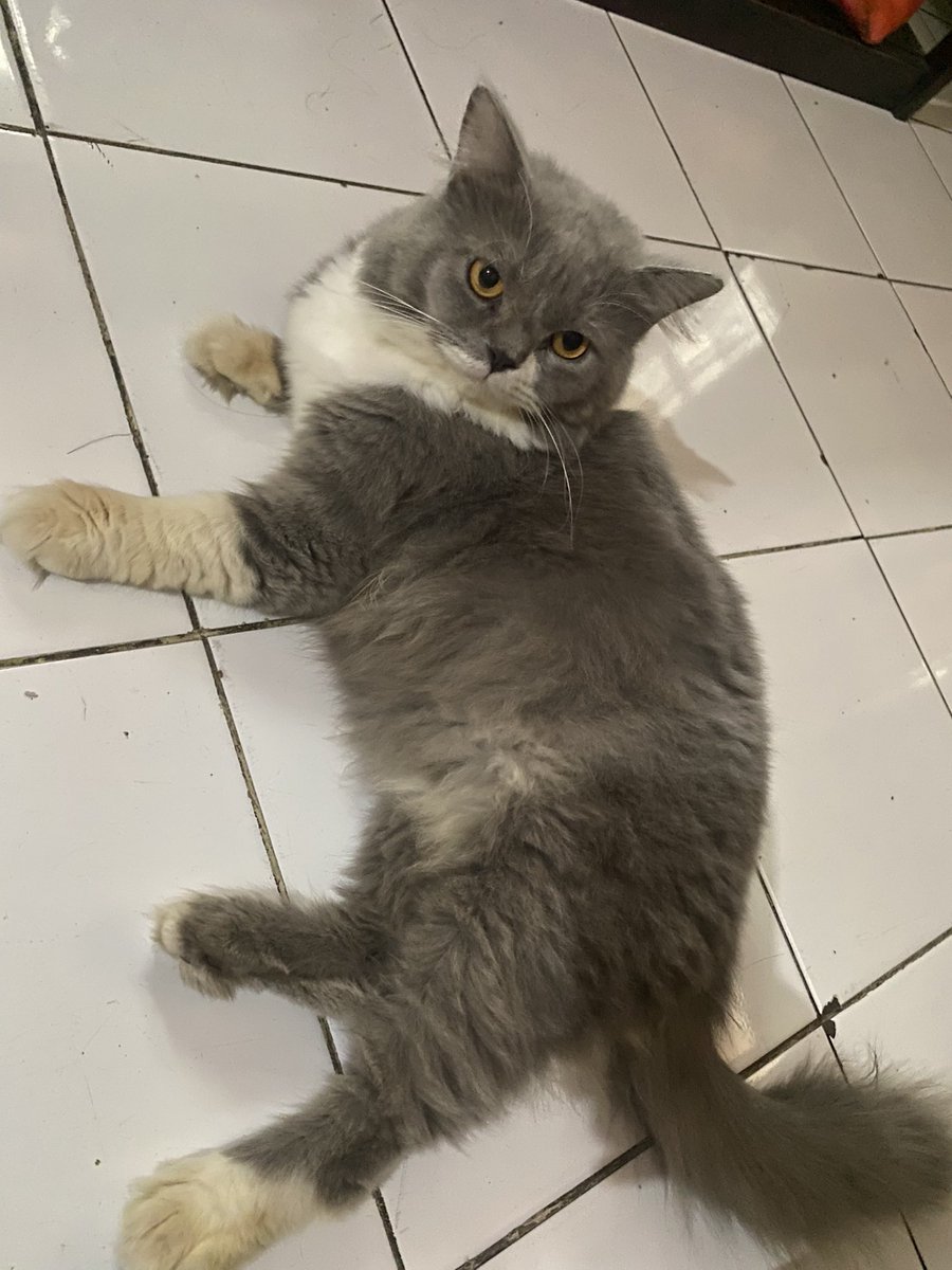 kalemb0ade's tweet photo. Gude banget u https://t.co/VkVSU0GF3N