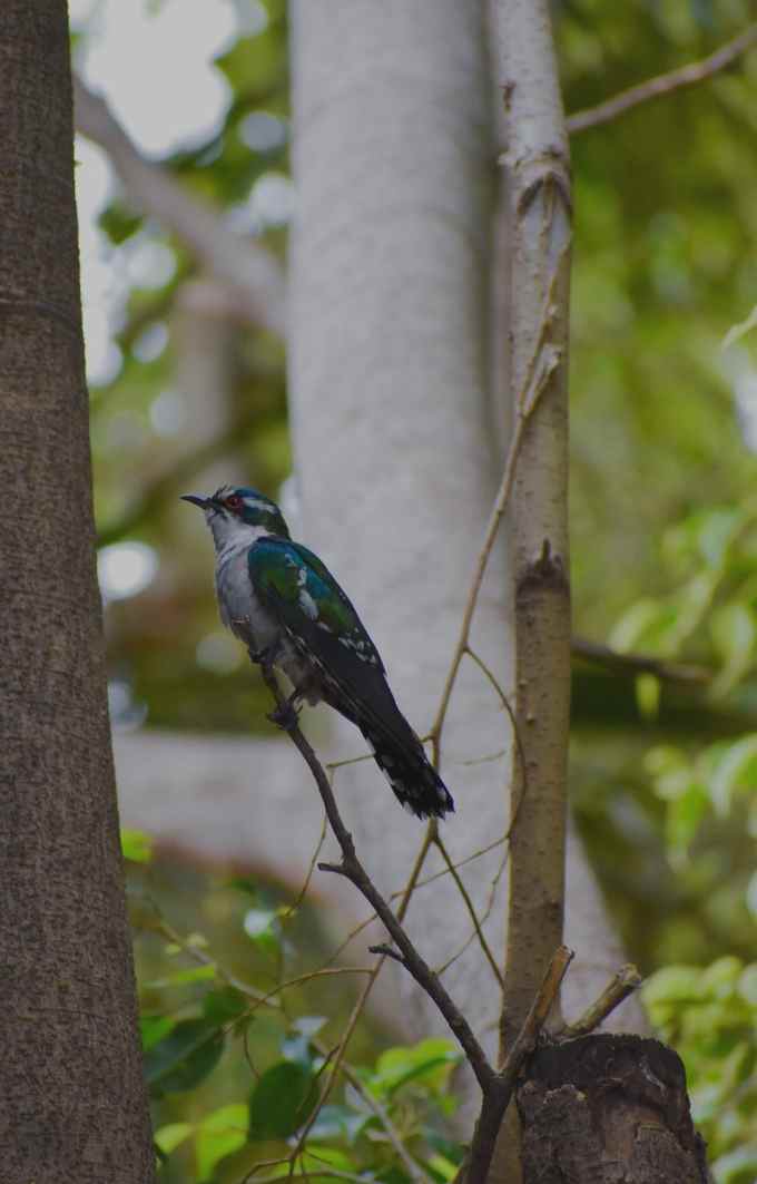 nirina22's tweet image. Exploring the allure of billet nirina!