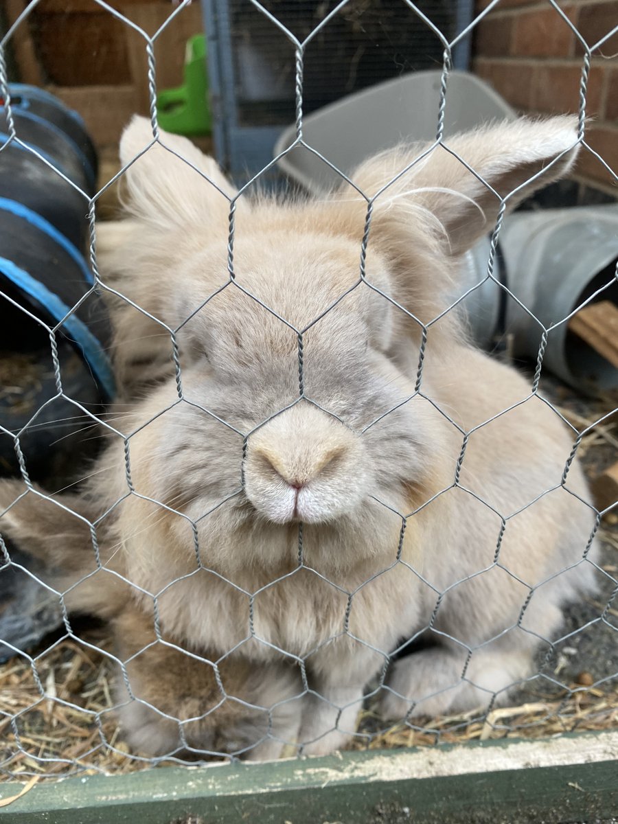 Ben R. Atkinson tweet media