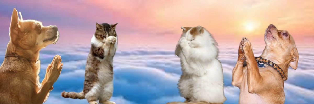 Trustth3pr0c3s's tweet photo. @cryptolyxe #profess
DUfp4YRiJP9HnMMpfDFUZoSFNfBRwaXBxYrAS7rZpump https://t.co/XT2eUjNbHh