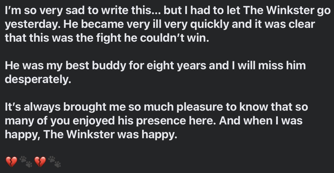 Miles Hunt tweet media