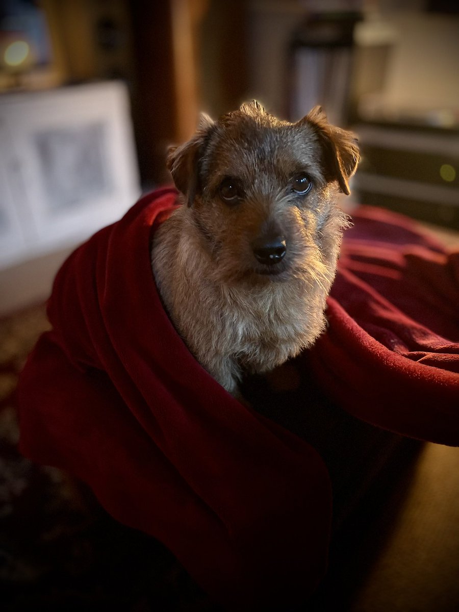 Miles Hunt tweet media