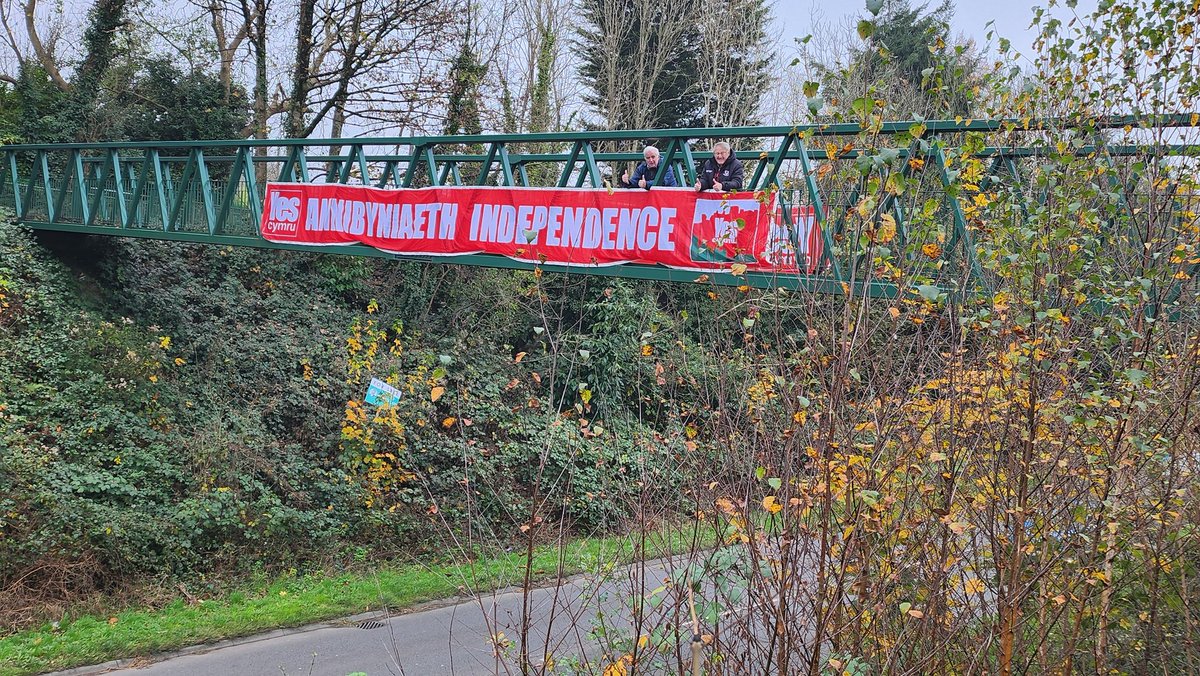 Llwyth o 👍. Loads of 👍