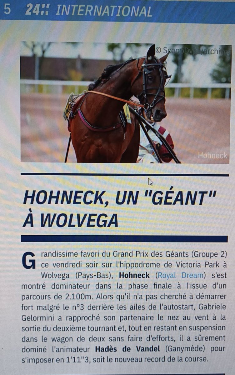 🇳🇱 🇫🇷 🐎