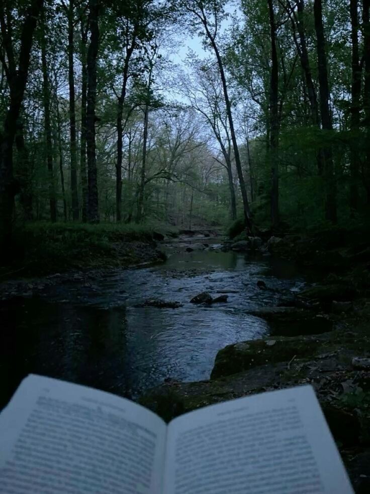 elemmiressoul's tweet photo. tranquility. https://t.co/KWHaMMndpY