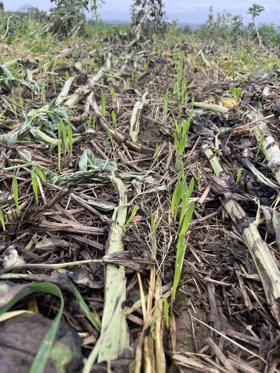 Let’s go 
#acs #sd