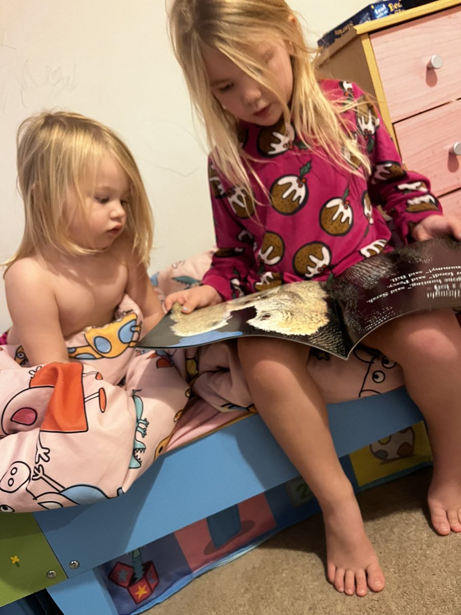 Home Is Where Your Books Are 🏡🥰📚 tweet media