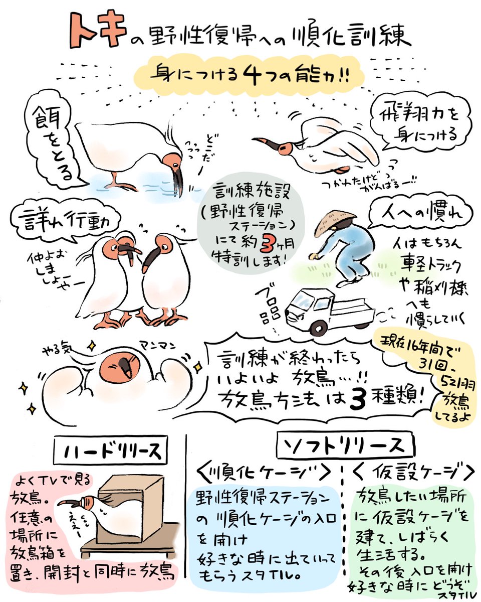 トキガイド養成講座🐦備忘録⑥ 