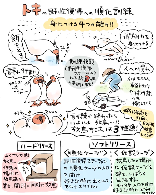 トキガイド養成講座🐦備忘録⑥ 