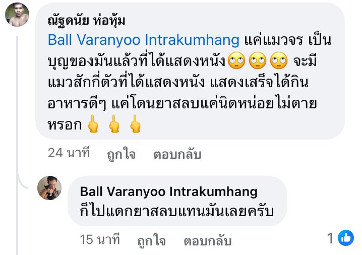 Annarin_'s tweet photo. @TifFaNy_9member ขอโทษพ่อแม่น้องแมว แล้วไหนเม้นนี่บอกน้องเป็นแมวจร ย้อนแย้งนะ https://t.co/hmsgbm1W41