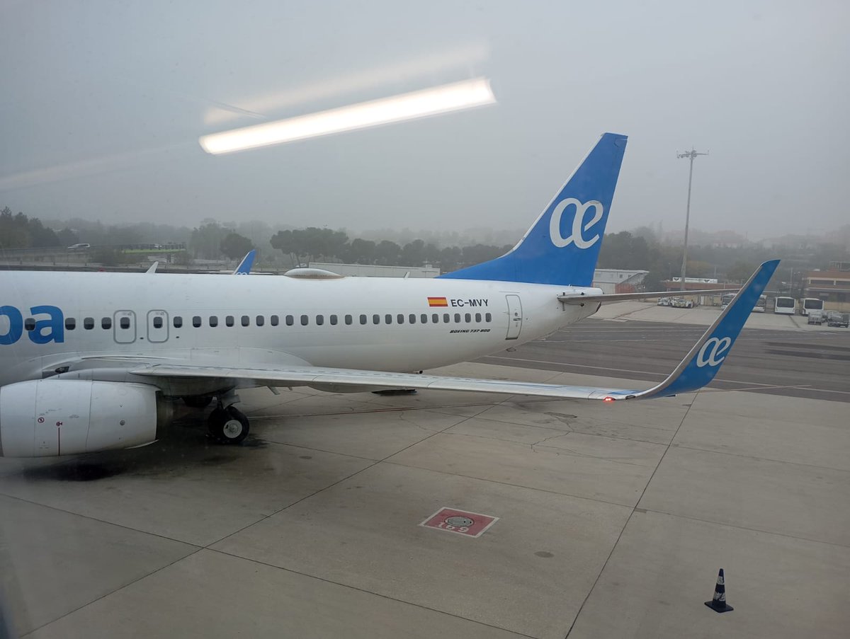 Viaje a las Islas Baleares completado 🔋

El equipo está preparado para una nueva oportunidad de sumar ➕⚪️🟣

¡Vamos #DéporGuadaFEM! 🔛