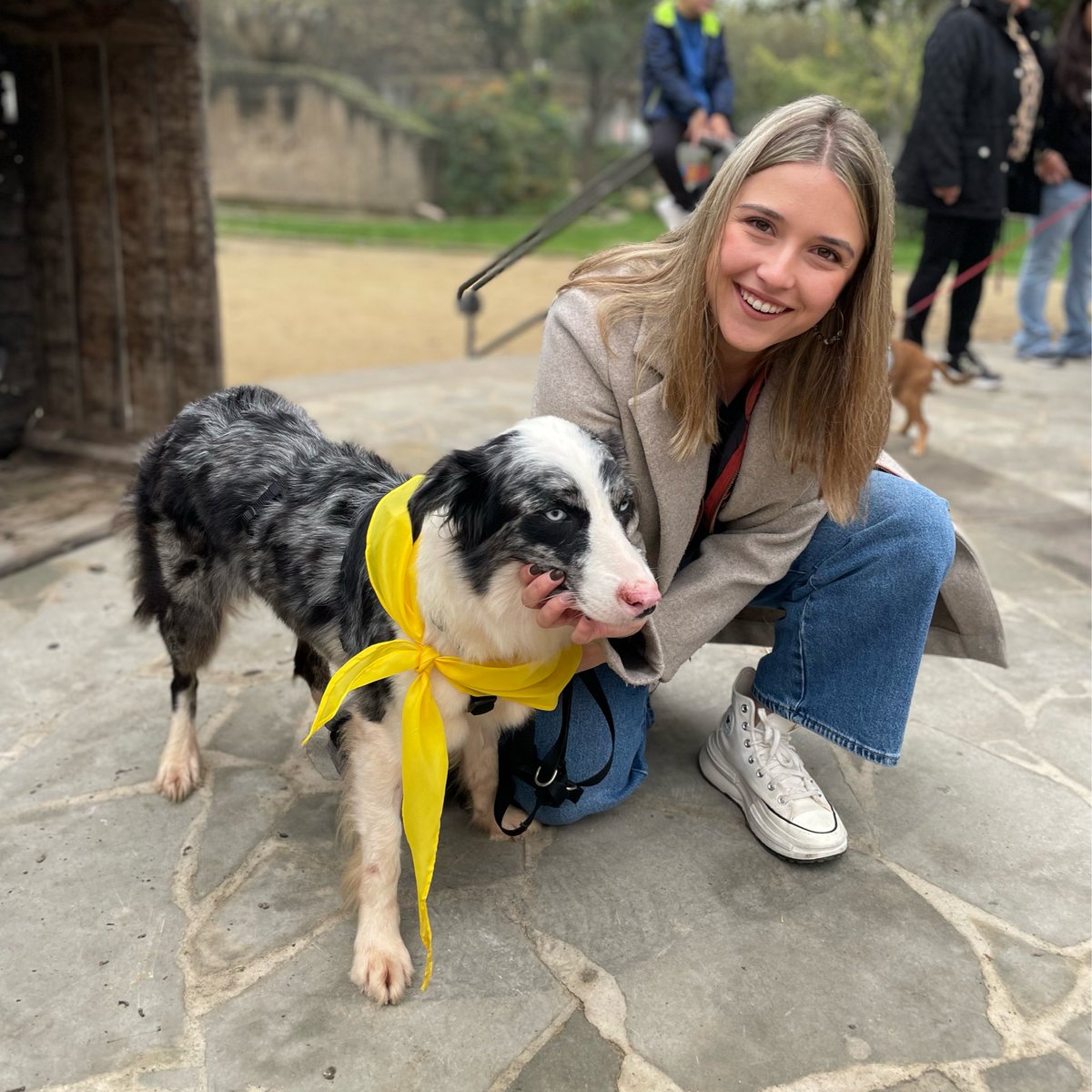 BorgesxlaRep's tweet photo. Fira del Benestar Animal en marxa! 🐾🥰 https://t.co/kuabPcjA3f