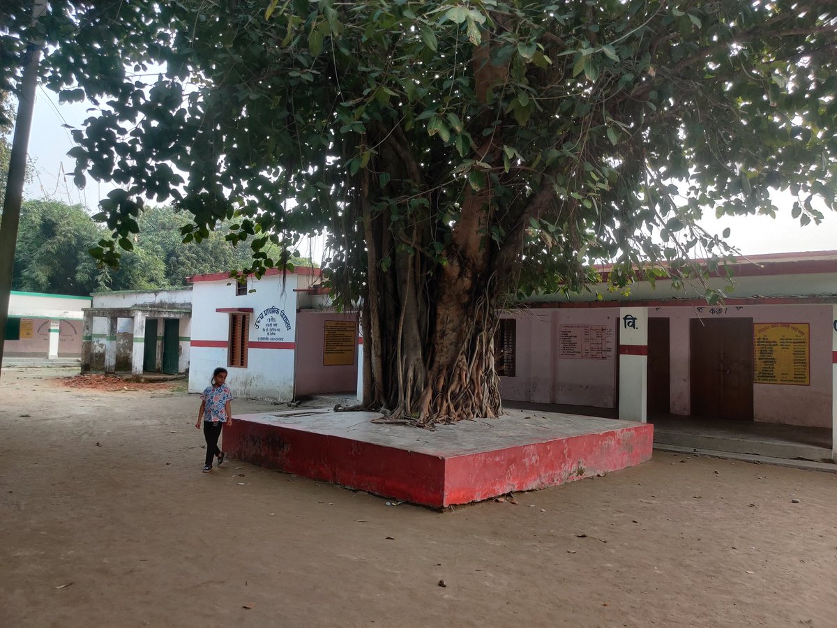 rajendradev6's tweet image. बच्चों के सारे अधिकार, किसी प्रकार की प्रताड़ना नहीं, मिड डे भोजन का पूरा मेन्यू, खुला और विशाल प्रांगड़, विशाल वृक्ष । इस संविलयन उच्च प्राथमिक विद्यालय में वो सब कुछ है जो ग्रामीण बच्चों की अच्छी शिक्षा के लिए होना चाहिए। निजी विद्यालय इससे रश्क कर सकते हैं। 
#basiceducation