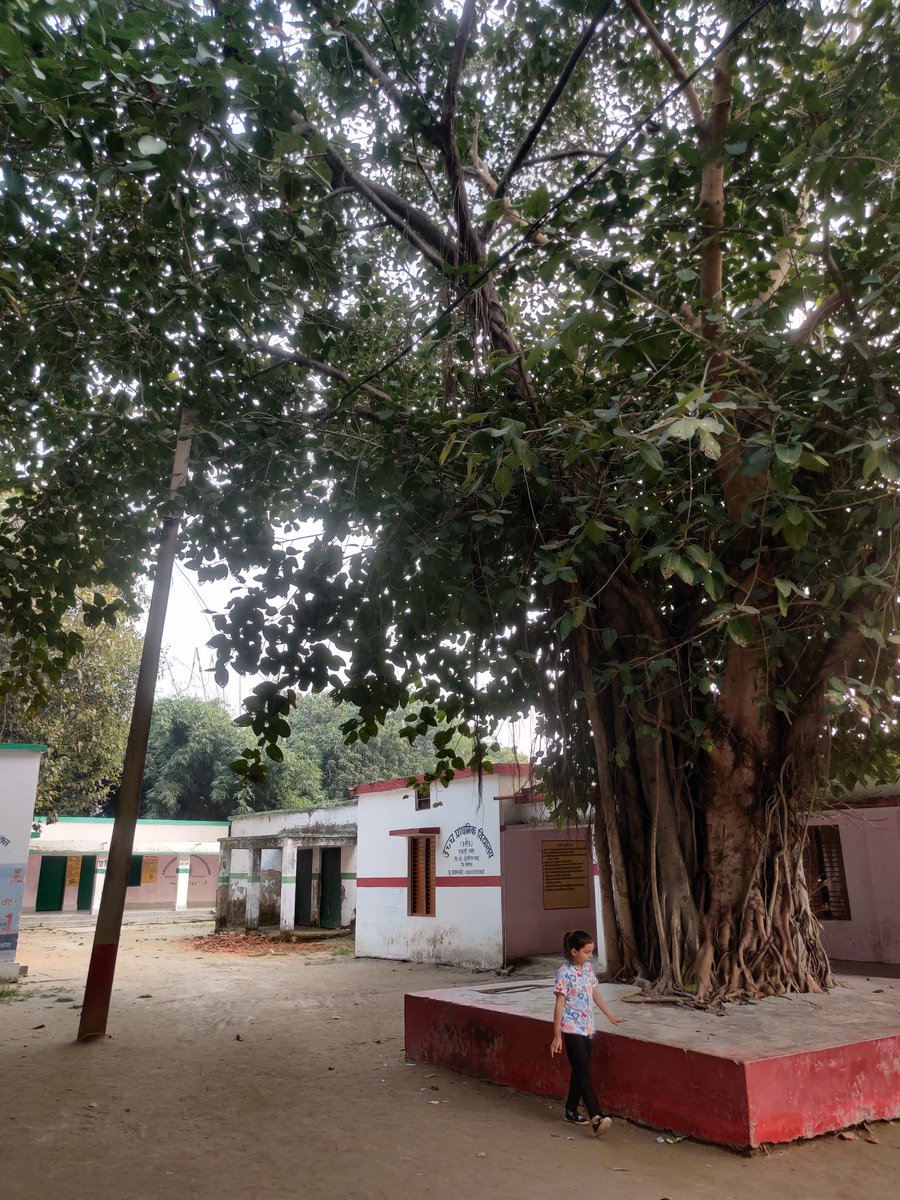 rajendradev6's tweet image. बच्चों के सारे अधिकार, किसी प्रकार की प्रताड़ना नहीं, मिड डे भोजन का पूरा मेन्यू, खुला और विशाल प्रांगड़, विशाल वृक्ष । इस संविलयन उच्च प्राथमिक विद्यालय में वो सब कुछ है जो ग्रामीण बच्चों की अच्छी शिक्षा के लिए होना चाहिए। निजी विद्यालय इससे रश्क कर सकते हैं। 
#basiceducation