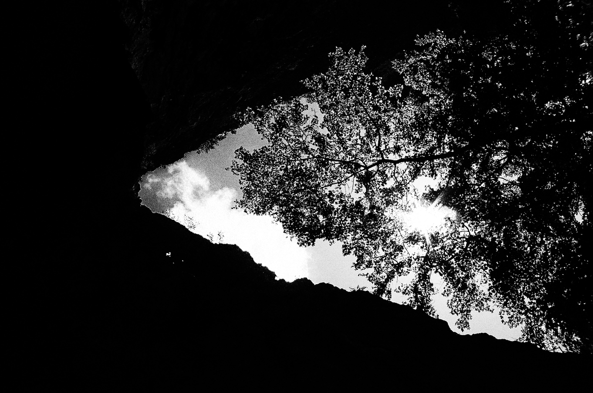 lvlabco's tweet image. Hello friends! 
Long time no see. 
Happy Saturday to y'all!🌞 

- 

'In the Canyon'

One of my personal favorites from my 'Life Is Not All Black and White' collection on OS

Check it out, show it some❤️
opensea.io/collection/lif…

#blackandwhitephotography
#filmphotography