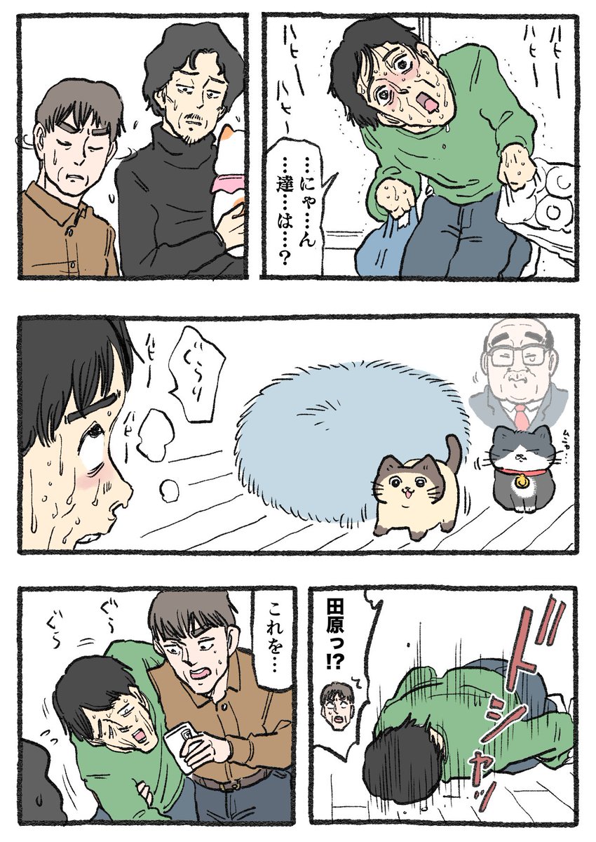 ねこに転生したおじさん。その588
