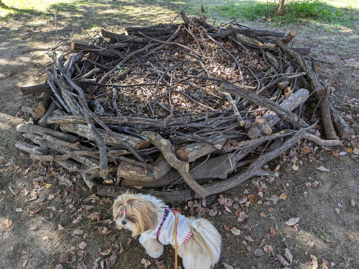 こなつのおかん tweet media