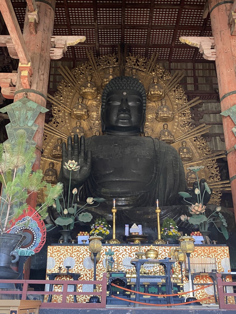 今日はいい天気で暖かいので奈良の大仏様を見に行って来ました
間近で見るとやはり大きいですね