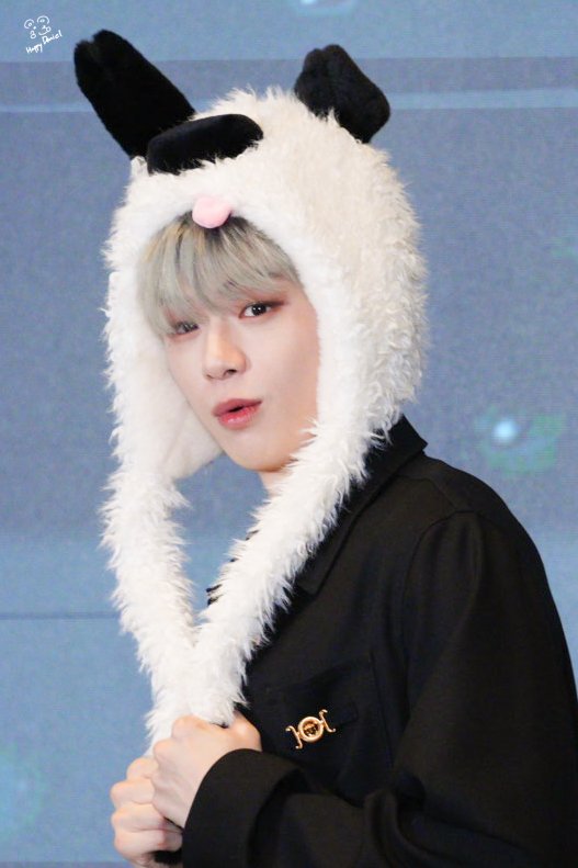 HappyDaniel tweet media