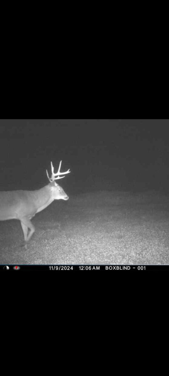 OuttaArrows's tweet photo. 3 shooters last night!! Let's hope one or two of em slip up this morning 🤞🦌💯 #rutcation https://t.co/up4ruFsFed