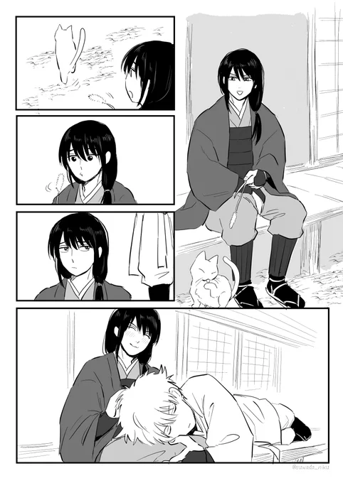 🐱銀桂 