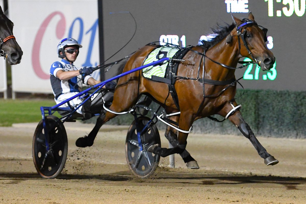 Club Menangle tweet media