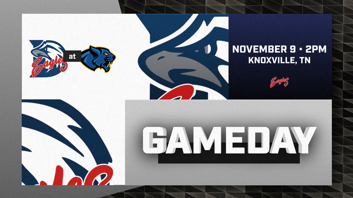 Dyersburg State tweet media