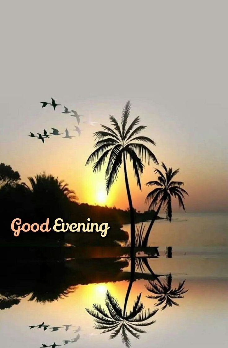 May this evening bring you peace, love, and sweet dreams.
My X Family🌼