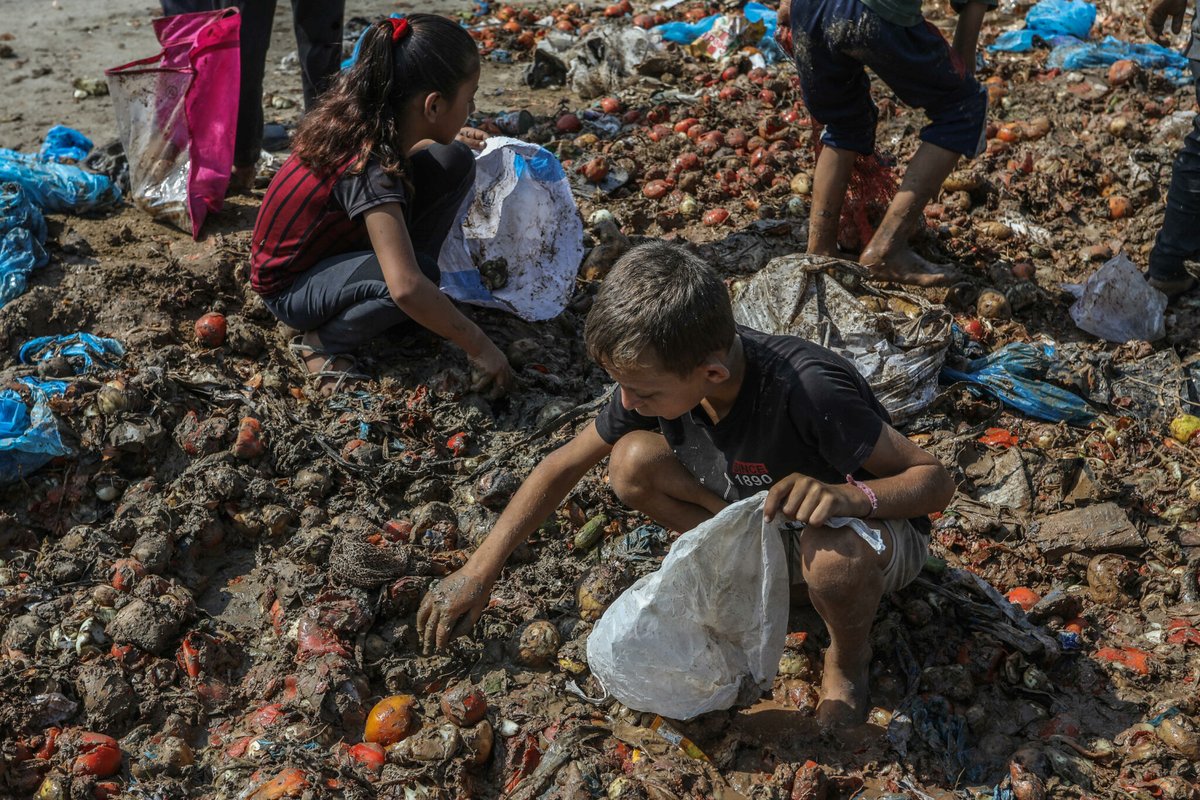Le Parisien tweet media