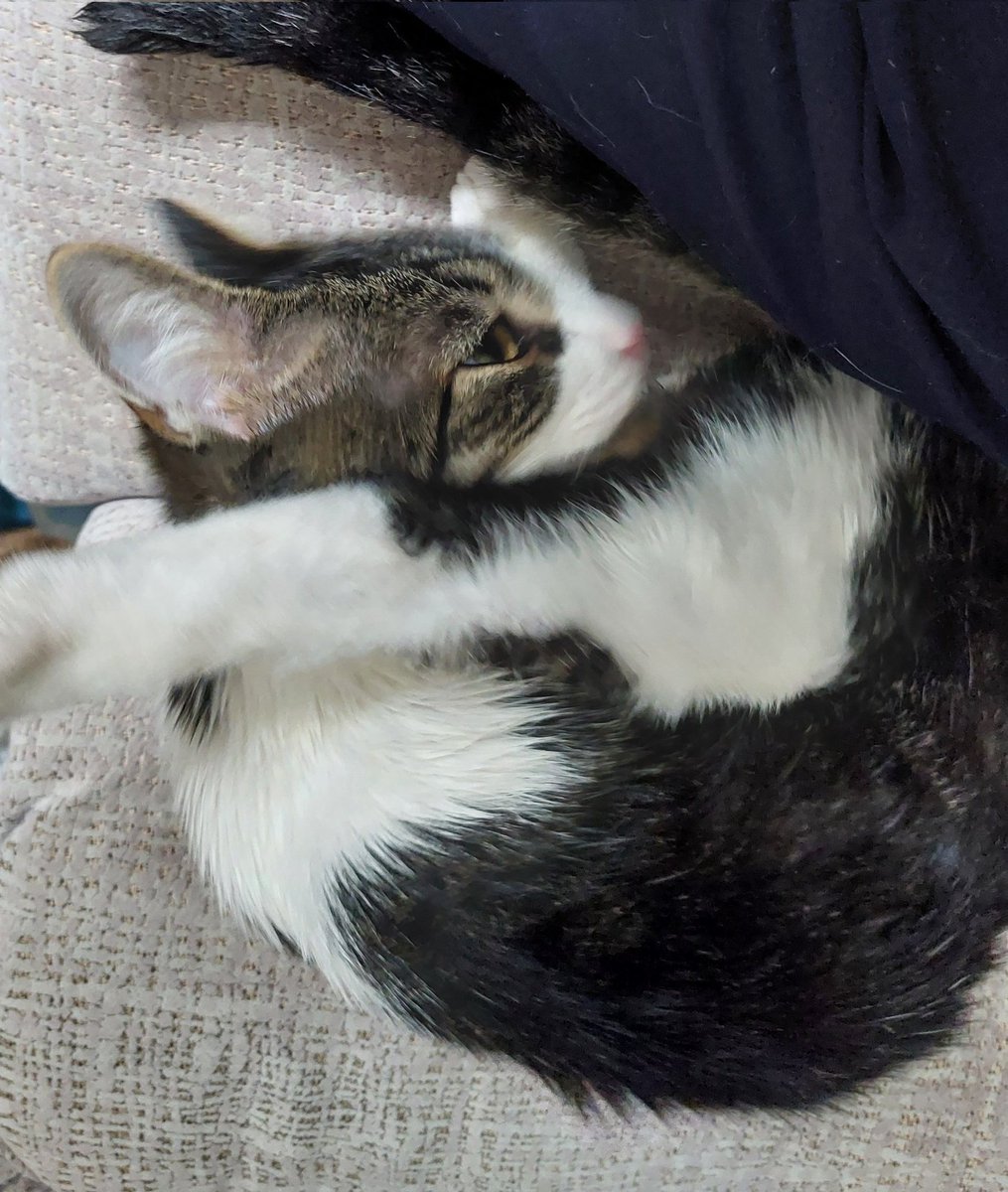 "Why are we here... ? Just to suffer...?"