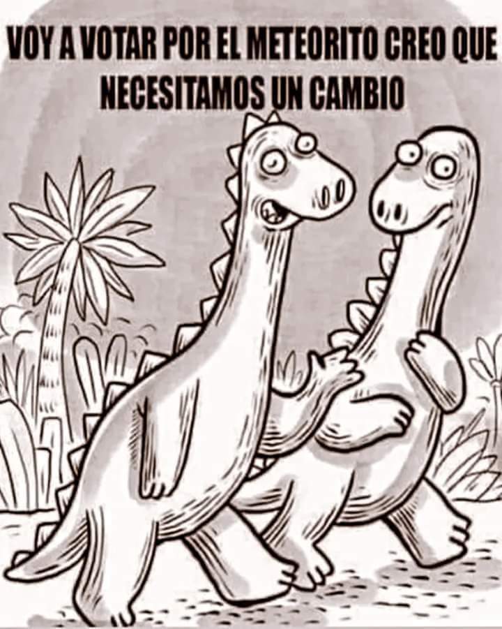 Veronika Amendola 🇦🇷 tweet media