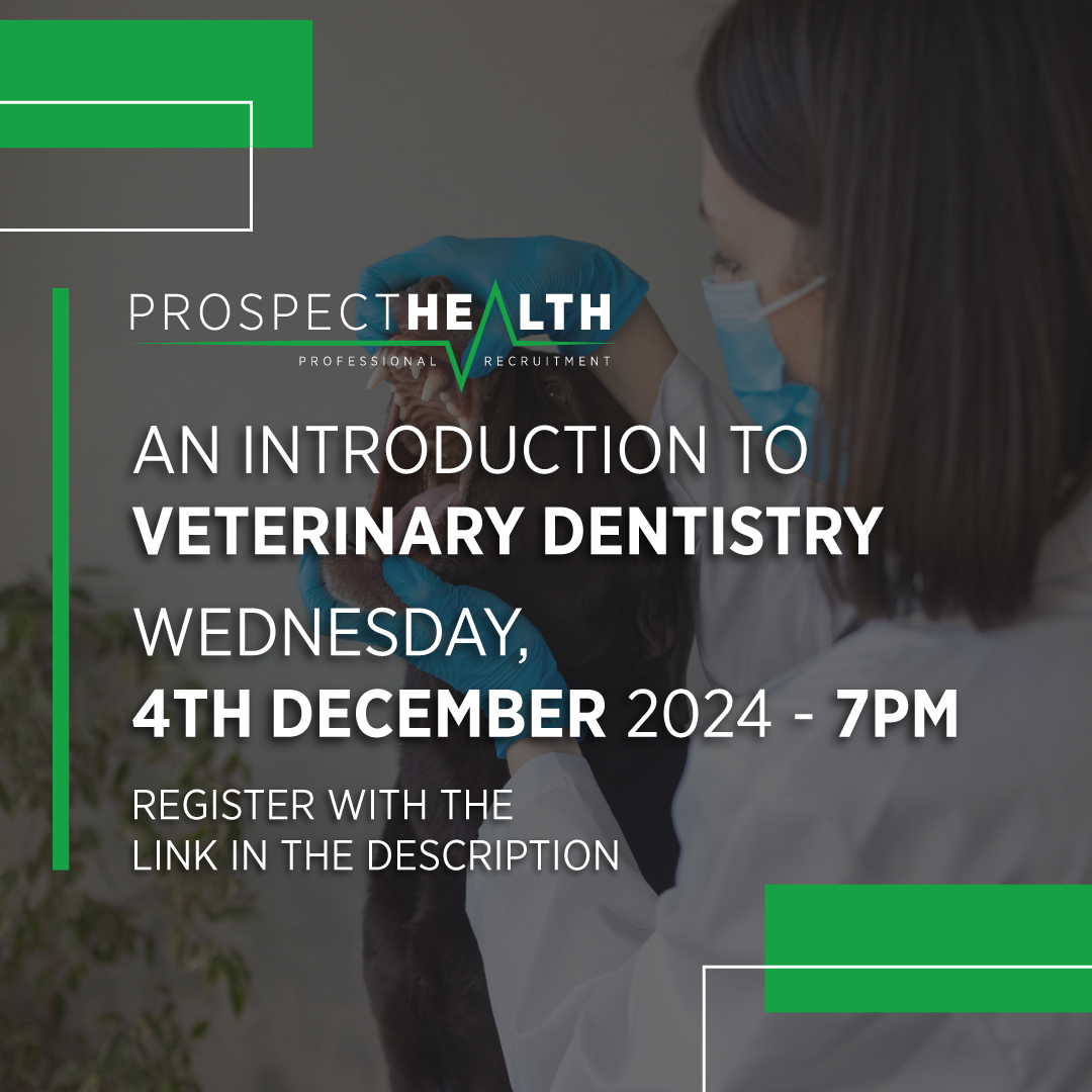 Prospect Health Veterinary tweet media