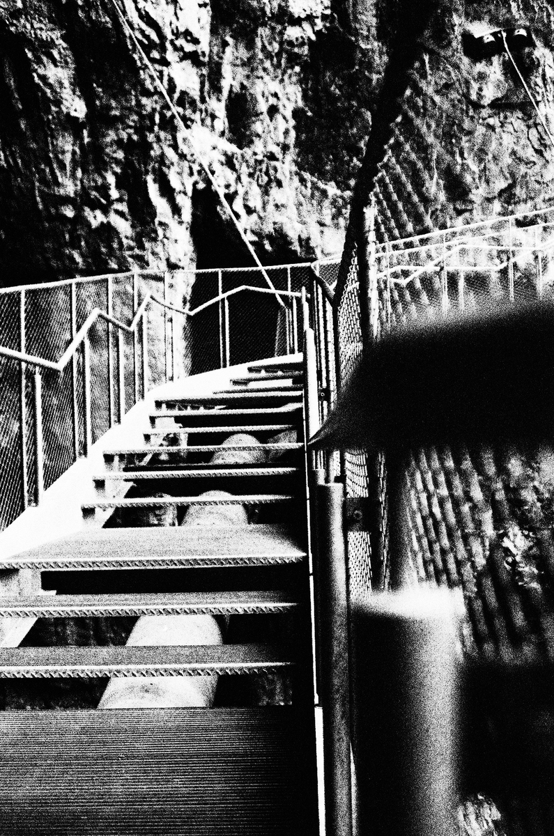 lvlabco's tweet image. Share your photos of paths!

'Into the Cave'